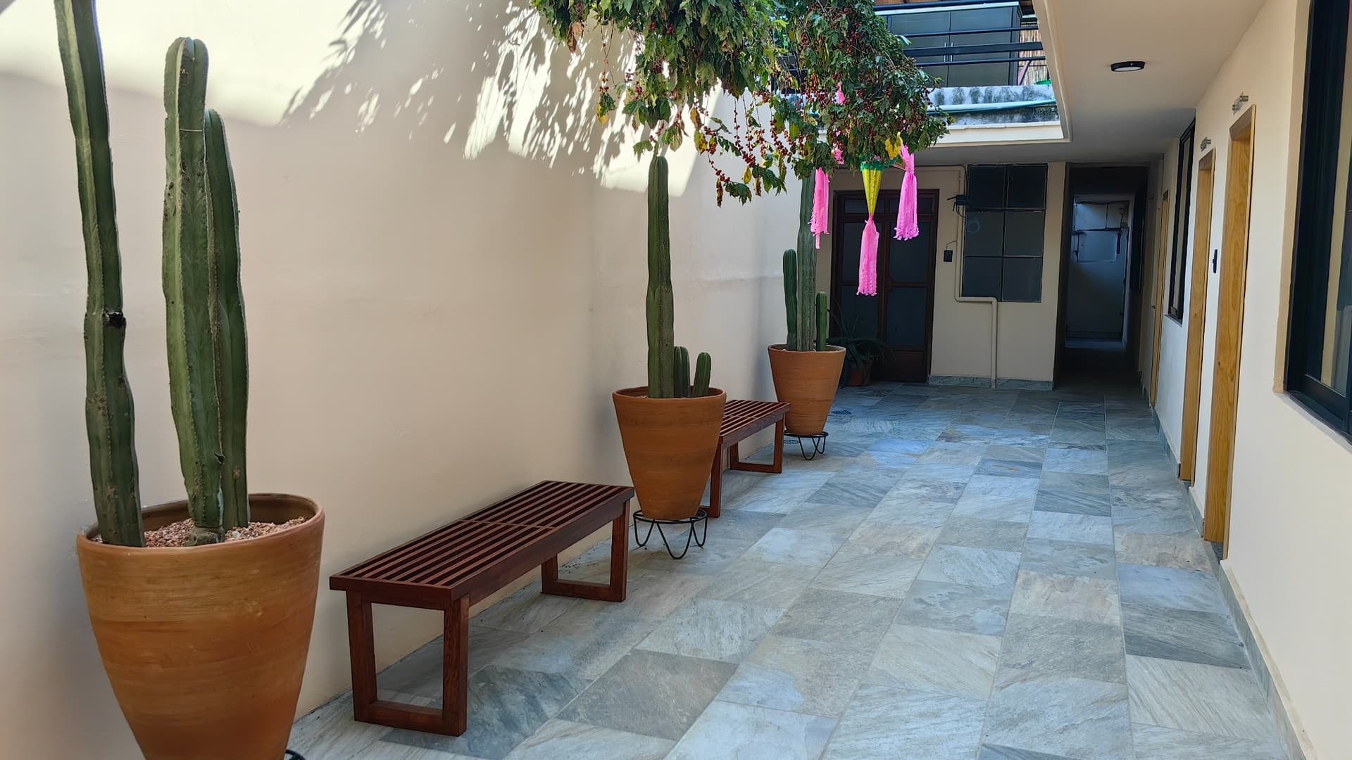 Cafetal